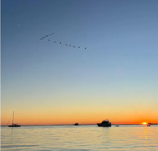 Boats float on calm water at sunset, with birds flying in a V-formation across a clear sky.